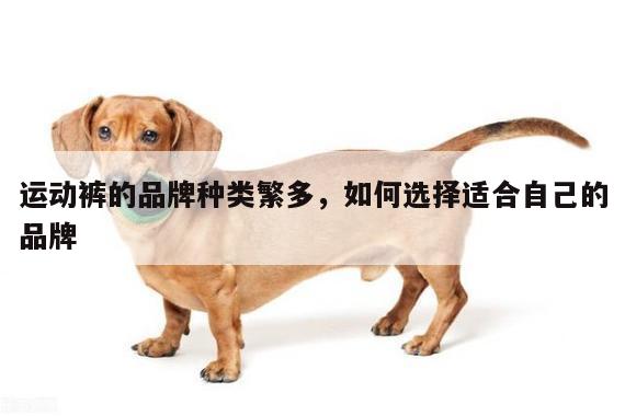 运动裤的品牌种类繁多,如何选择适合自己的品牌